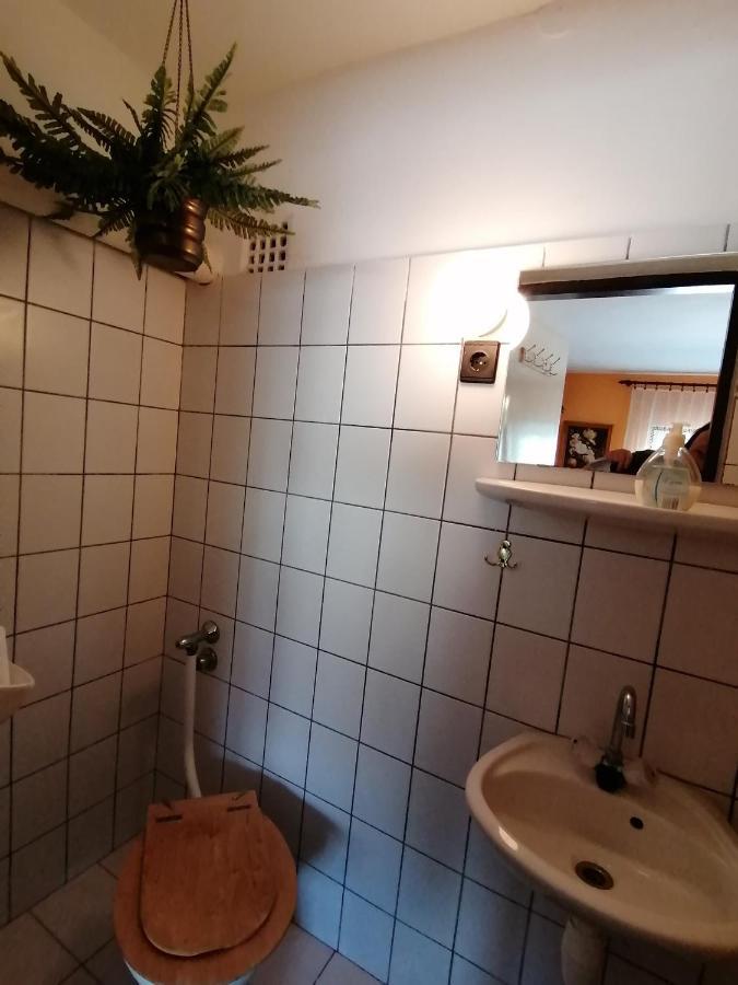 Apartmán Ildiko Vendeghaz Hévíz Exteriér fotografie