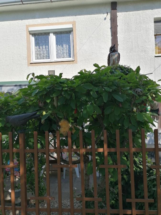 Apartmán Ildiko Vendeghaz Hévíz Exteriér fotografie
